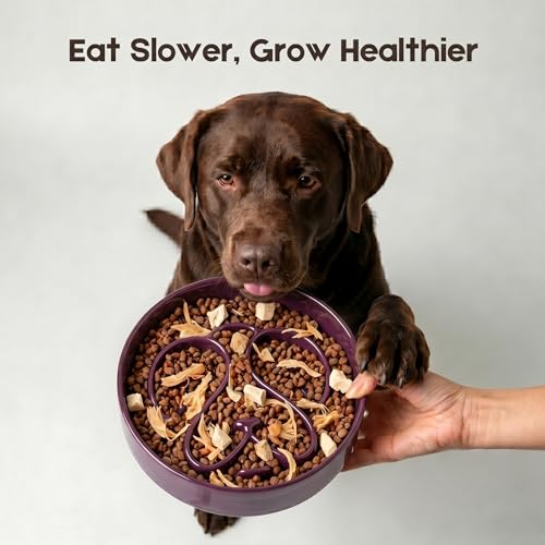 Slow Feeder Dog Bowl, Ceramic Dog Bowls 1.5 Cup Slow Feeding Bowl for Small and Medium Breed, Puzzle Dog Food Bowl for Fast Eater (Purple) - color: Purple