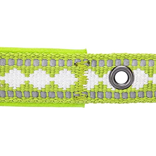 Blueberry Pet Reflective Jacquard Dog Collar with Neoprene Padding & Metal Buckle | Soft & Adjustable Safety Collar - Macaw Green, Neck 9-12.5", for Small Breed - color: Metal Buckle-Macaw Green, size: Small