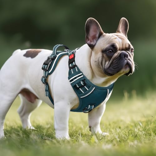 Timos Dog Harness Small Sized, No Pull Pet Harness with Neck Lockable Snap, No Choke Front Clip Reflective Vest, Adjustable Metal Rings 3 Buckles, Easy Control Handle for Small Dogs Blackish Green S - color: Lock Blackish Green, size: Small (Pack of 1)