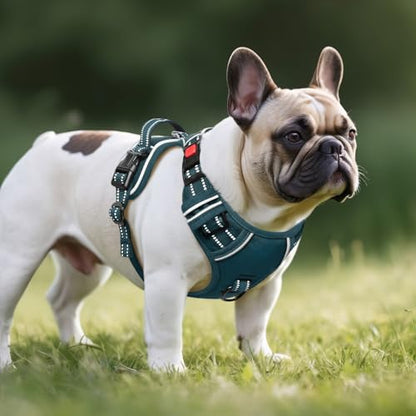 Timos Dog Harness Small Sized, No Pull Pet Harness with Neck Lockable Snap, No Choke Front Clip Reflective Vest, Adjustable Metal Rings 3 Buckles, Easy Control Handle for Small Dogs Blackish Green S - color: Lock Blackish Green, size: Small (Pack of 1)