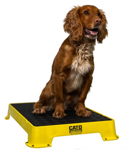 Cato Board - Dog Training Platform (Yellow, Rubber Surface) - color: Yellow