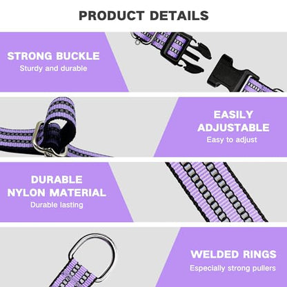 Hikiko Martingale Dog Collars Reflective Nylon Dog Collar with Quick Release Buckle Adjustable Training No Slip Dog Collar (Small, Lavender) - color: Lavender, size: Small