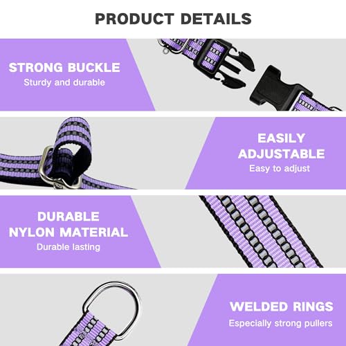 Hikiko Martingale Dog Collars Reflective Nylon Dog Collar with Quick Release Buckle Adjustable Training No Slip Dog Collar (Large, Lavender) - color: Lavender, size: Large