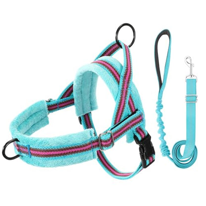 Lukovee No Pull Dog Harness and Leash Set, Soft Padded Small Dog Harness, Neck & Chest Adjustable Reflective Vest Puppy Harness with 4ft Lightweight Anti-Twist Dog Leash for Small Dogs (XXS, 01-LBL) - color: Light Blue - with Stripe, size: XXS ( Chest 11.