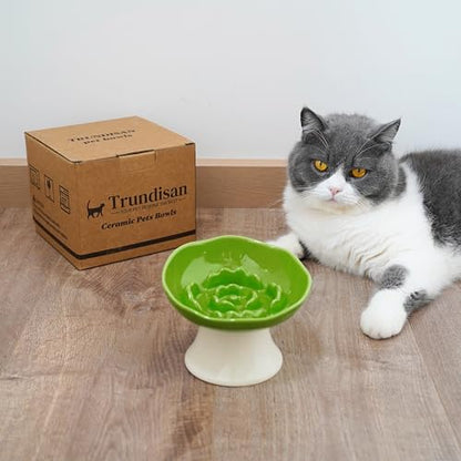 Ceramic Slow Feeder Bowl for Cats and Small Dogs, Elevated Tilted Pet Food Dish, Whisker Friendly Anti-Vomit Design, Heavy Stable Base, Dishwasher Safe， 5 Colors Options (Leaf Green) - color: Leaf Green
