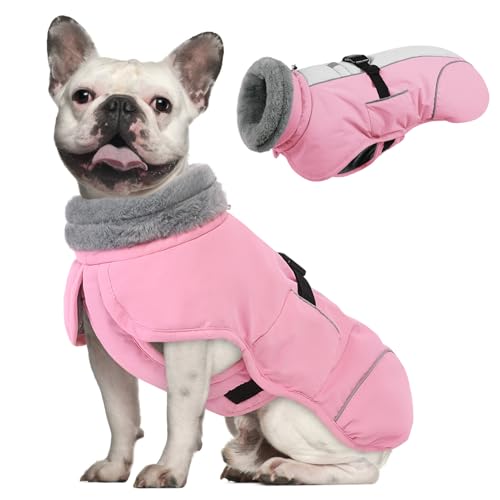 Queenmore Winter Dog Jackets, Thick Dog Coats for Small Pets Winter, Warm Reflective Coat, Thick Waterproof Puppy Coats, Pink, S - color: Pink, size: Small
