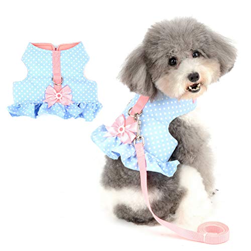 Zunea No Pull Small Dog Girl Harness Dress Escape Proof Cat Kitten Vest Harness Leash Set Step-in Soft Cotton Padded Polka Dot Jacket Chihuahua Puppy Clothes with Cute Bow for Walking Blue M - color: blue dots, size: M (Chest:16.9-17.7", Neck:10.6-11.4")