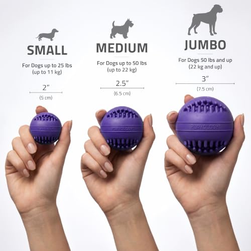 Playology Dog Toys | Dental Chew Ball for Senior Dogs | Pork Sausage Scented Medium Toy | Dog Balls for Healthy Teeth and Gums - size: Medium Chew Ball, style: Pork Sausage