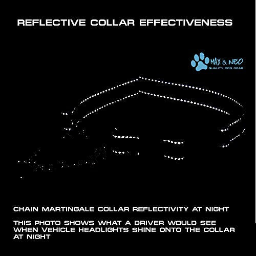 Max and Neo Stainless Steel Chain Martingale Collar - We Donate to a Dog Rescue for Every Collar Sold (Small, Pink) - color: PINK, size: Small