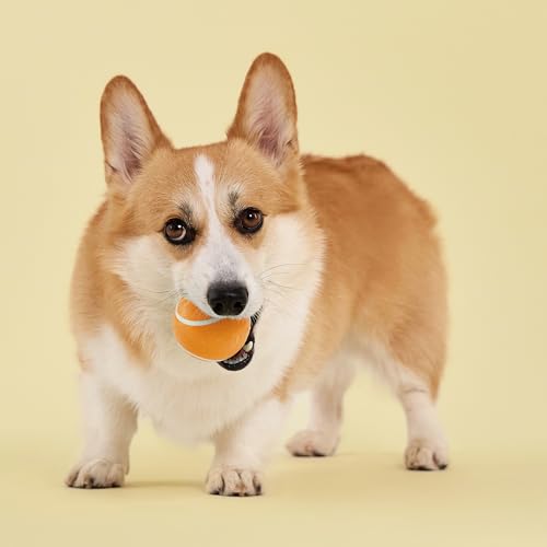 Playology Dog Toys | Squeaky Chew Ball for Dogs| Cheddar Cheese Scented Medium Dog Ball | Bouncy Floating Dog Balls - size: Medium, style: Cheddar Cheese