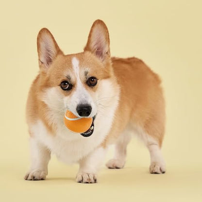 Playology Dog Toys | Squeaky Chew Ball for Dogs| Cheddar Cheese Scented Medium Dog Ball | Bouncy Floating Dog Balls - size: Medium, style: Cheddar Cheese