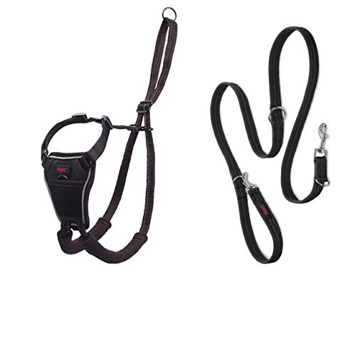 Halti No Pull Harness Size Medium & Halti Training Leash Size Large, Black Combination Pack - Stop Your Dog Pulling on the Leash. Adjustable, Lightweight and Easy to Use. Suitable for Medium Dogs - size: Medium