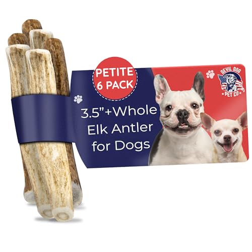 Devil Dog Pet Co. Elk Antlers for Dogs, Natural Dog Chew for Aggressive Chewers - Long Lasting and Odor Free - USA Sourced - Cleaner Teeth, Anxiety & Boredom Relief - Whole Petite 3.5"+ 6 Pack - style: WHOLE - Petite - 6 Pack