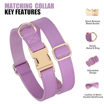PET ARTIST PU Leather Dog Collar, Bright & Stylish Purple Dog Collar Girl with Quick Release Gold Metal Buckle, Soft Nylon Padded Durable Pet Collars Adjustable for Medium Dogs, Neck Fit 13-19" - color: Purple, size: M: Fit 13-19" Neck(20-55 lbs)