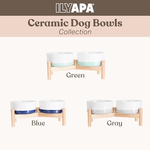 Ilyapa Ceramic Dog Bowls - Elevated for Medium Sized Pet with Raised Food and Water Set - Green Double 6 inch, 28 Oz Bowls & 13x6.3x5.5 Wooden Stand - color: Green