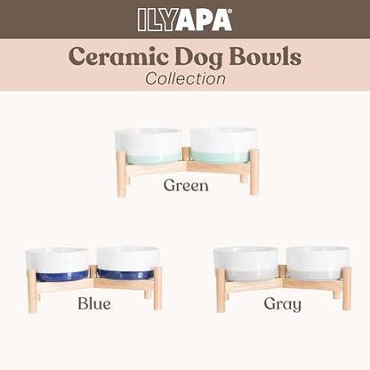 Ilyapa Ceramic Dog Bowls - Elevated for Medium Sized Pet with Raised Food and Water Set - Green Double 6 inch, 28 Oz Bowls & 13x6.3x5.5 Wooden Stand - color: Green