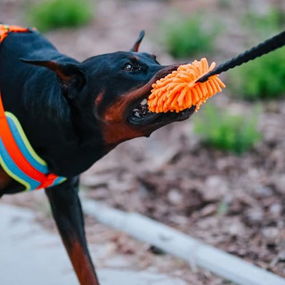 Dingo Dog Tug Toy with Bungee Handle, Microfiber, Orange - color: Orange