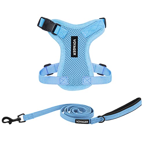 Best Pet Supplies Voyager Step-in Lock Pet Harness w Reflective Pet Leash Combo Set with Neoprene Handle 5ft - Supports Small, Medium and Large Breed Puppies/Cats - Baby Blue Set, XXS - color: Harness Leash Set (Baby Blue), size: XXS (Chest: 11.5 - 14")