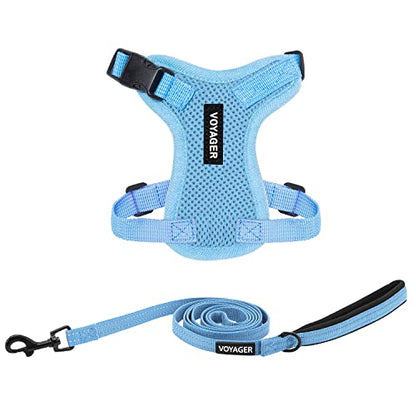 Best Pet Supplies Voyager Step-in Lock Pet Harness w Reflective Pet Leash Combo Set with Neoprene Handle 5ft - Supports Small, Medium and Large Breed Puppies/Cats - Baby Blue Set, XXXS - color: Harness Leash Set (Baby Blue), size: XXXS (Chest: 10.5 - 13")