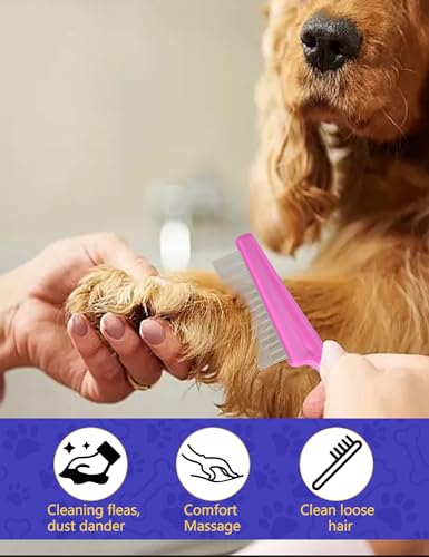 CAPHONT Flea Comb for Cats with Handle, 4 Pcs Flea Brush Tear Stain Comb Grooming Face and Matted Hair Paws Pet Lice Comb for Small, Medium & Large Cat Dog Kitten Rabbit - color: Blue&Pink 4P