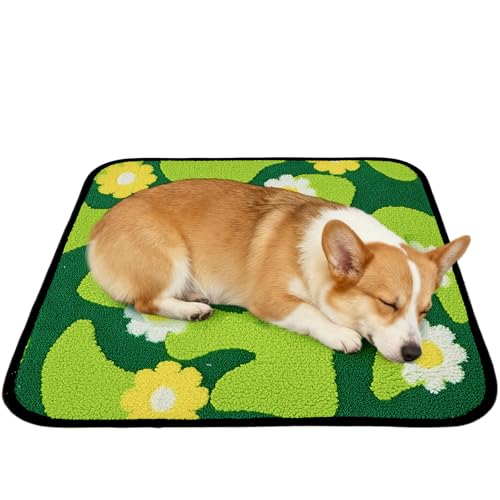 Qeils Reusable Puppy Pads for Small Dogs, Washable Pee Pads with Non-Slip , Absorbent Leakproof Mat for Crates, Playpens, Pet Beds & Whelping, Indoor Potty Training Grass Green, 22"x22", 2 Pack - size: 22"x22"(Pack of 2)