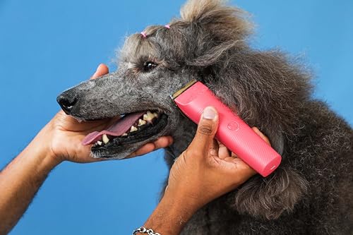 Andis 79125 Vida 5-in-1 Cordless Adjustable Blade Pet Hair Clipper, 11-Piece Kit, Non-Slip Design, Slim Profile, Versitile Fit, Grooming, Raspberry - color: Raspberry