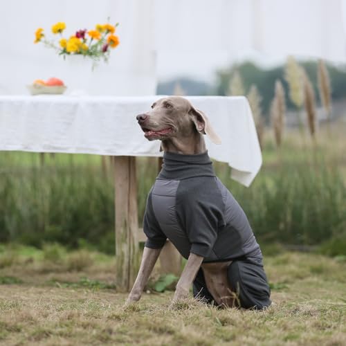 ROZKITCH Dog Coats for Large Dogs Winter Waterproof, Fullbody Clothes Jumpsuit, Cold Weather Coats Pajamas, Four-Legged Snowsuit with Leash Hole, Large Dog Fleece Vest Grey XL - color: Grey, size: XL(Chest: 26-31"; Back:22-23")