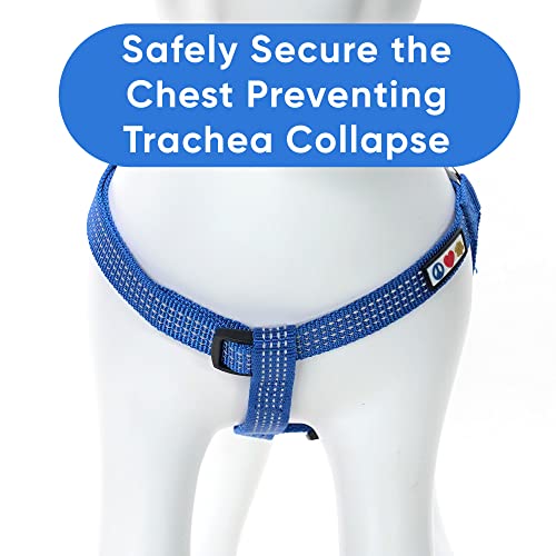 Pawtitas Reflective Step-in Dog Harness – Adjustable No-Pull Vest for Puppies to Seniors, Safe & Comfortable, L Blue