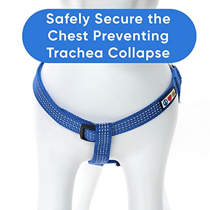 Pawtitas Reflective Step-in Dog Harness – Adjustable No-Pull Vest for Puppies to Seniors, Safe & Comfortable, L Blue