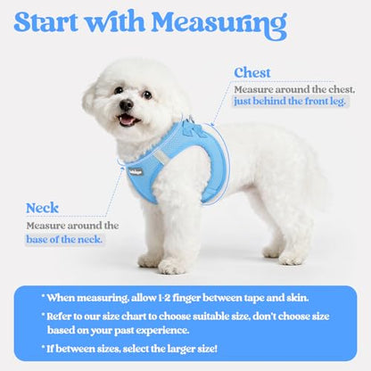 rabbitgoo Dog Harness Small Sized and Leash Set, Step in Soft Light Puppy Vest, Breathable Mesh Pet Harness, Reflective for Safe Easy Walking, Blue XXS - color: Blue, size: Xxs (chest: 12.4 - 14.2")
