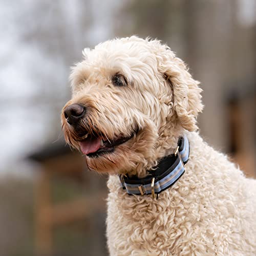If It Barks 1.5" Martingale Collar for Dogs, Adjustable Nylon, Made in USA,Key Lime Pie,Small (11" - 15") - color: Key Lime Pie, size: Small (11"-15") w/o Buckle