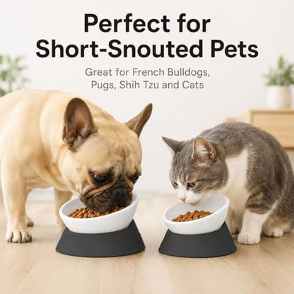 DZXZY French Bulldog Food Bowl, Slanted Tilted Pug Dog Bowl,Non-Slip Pet Feeder for Frenchie, Shih Tzu, Flat Faced Small Dogs, Puppies,Cat (Black, M -2 Cup) - color: Black, size: M -2 Cup