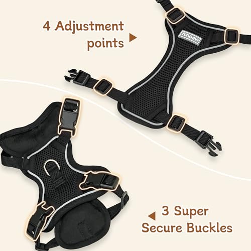 Small Dog Harness and Leash Set, Reflective Soft Breathable Mesh Vest, 3 Buckles, Adjustable Neck and Chest,Step in Dog Harness for Walking, Running, Training, Black, M - color: Black, size: Medium