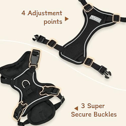 Small Dog Harness and Leash Set, Reflective Soft Breathable Mesh Vest, 3 Buckles, Adjustable Neck and Chest,Step in Dog Harness for Walking, Running, Training, Black, M - color: Black, size: Medium