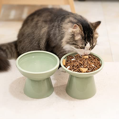 CEEFU 2 Elevated Ceramic Cat Bowls Extra Wide for Food & Water – Whisker Fatigue Shallow Food Dish, Lead & Cadmium-Free, Raised Height for Cats, Sage Green - color: Sage Green