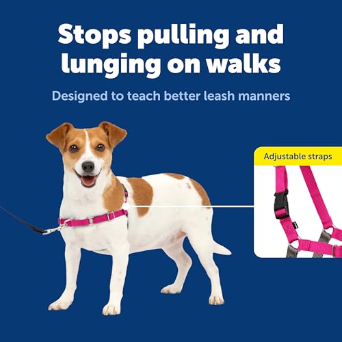 PetSafe Easy Walk No-Pull Dog Harness - Ultimate Harness to Help Stop Pulling - Pull-Free Walks - Take Control & Teach Better Leash Manners - Patented Martingale Loop Design - Raspberry, Small - color: Raspberry Pink/Grey, size: Small