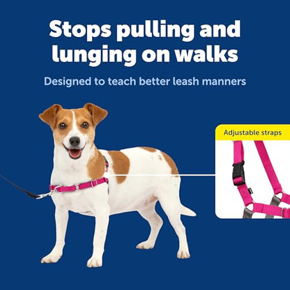 PetSafe Easy Walk No-Pull Dog Harness - Ultimate Harness to Help Stop Pulling - Pull-Free Walks - Take Control & Teach Better Leash Manners - Patented Martingale Loop Design - Raspberry, Small - color: Raspberry Pink/Grey, size: Small