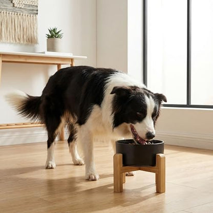 hjn Elevated Ceramic Dog Bowl with Bamboo Stand, Raised Pet Feeding Station for Small Medium Dogs Cats, Modern Design with Anti-Slip Base (Black, 7.6Cup) - color: Black, size: 7.6Cup
