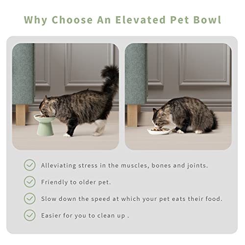 CEEFU 2 Elevated Ceramic Cat Bowls Extra Wide for Food & Water – Whisker Fatigue Shallow Food Dish, Lead & Cadmium-Free, Raised Height for Cats, Sage Green - color: Sage Green