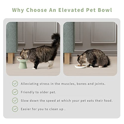 CEEFU 2 Elevated Ceramic Cat Bowls Extra Wide for Food & Water – Whisker Fatigue Shallow Food Dish, Lead & Cadmium-Free, Raised Height for Cats, Sage Green - color: Sage Green