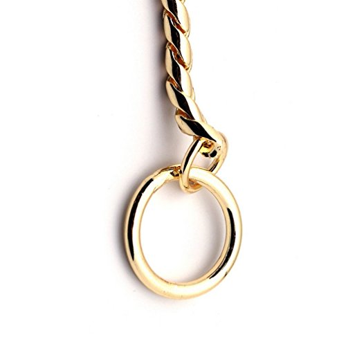 SGODA Gold Dog Chain Collar Choke Pet Training Snake Collar with Heavy Links, 16 in, 3 mm - color: Gold