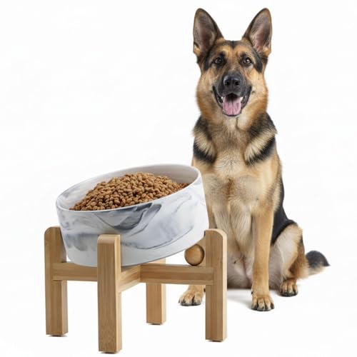 hjn Elevated Ceramic Dog Bowl 15°Slanted Raised Dog Bowl with Bamboo Stand for Small Medium Dogs and Cats, Pet Feeder -7.6-Cup (1800ml)-Marble Gray - color: Marble Gray, size: 7.6Cup