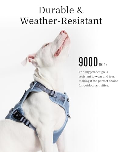 Fei & Eve MagEase 3-Second Magnetic Dog Harness | No-Pull Tactical Vest | Quick-Connect MOLLE w/3 Leash Clips | Heavy-Duty 900D Nylon | Adjustable w/Handle (Medium, Blue) - color: Blue, size: M