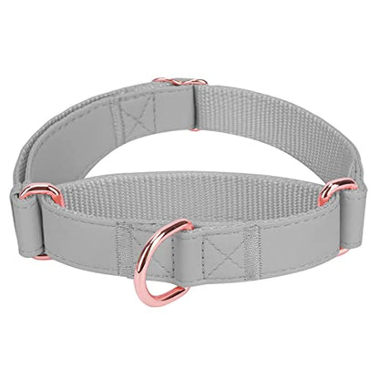 Soft Leather Martingale Dog Collar - Adjustable Rose Gold Limited Slip Collars [Easy to Clean], Stylish Durable Heavy Duty Nylon No Pull Training Collar for Small Medium Large Dogs XS Grey - color: Grey, size: XS (Neck 8"-11", Width 3/5")