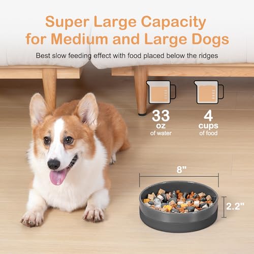 Sted Ceramic Slow Feeder Dog Bowls with Silicone Base, Slow Feeding Dog Bowl Small Medium Breed, Dog Food Bowls for Fast Eaters, Slow Down Eating, Puzzle Dog Food Bowl, Maze Grey - color: Grey, size: Medium-8 inches