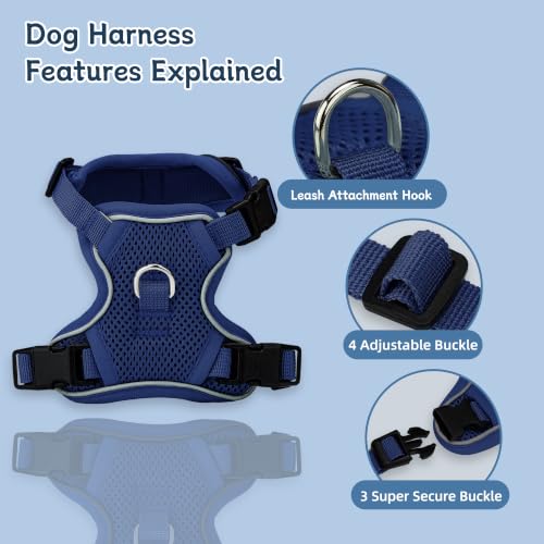 Small Dog Harness and Leash Set, Reflective Soft Breathable Mesh Vest, 3 Buckles, Adjustable Neck and Chest,Step in Dog Harness for Walking, Running, Training, Navy Blue, XS - color: Navy Blue, size: X-Small