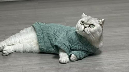 Kitten Clothes, Dog Cat Sweaters Pet Puppy Knitwear Costume Fall Winter Coat for Small Medium Cats Dog Girl Boy Fit 2.2-23lb - color: Green, size: Small