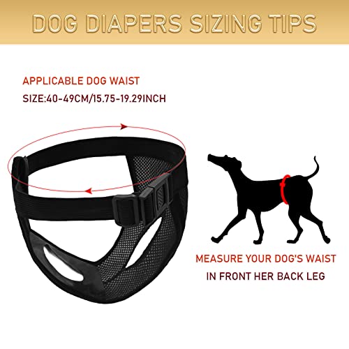BLMHTWO 2PCS Dog Pants Dog Nappies, Dogs Period Pants with 6PCS Washable Female Dogs Season Pants Adjustable Protective Trousers for Female Puppy in Heat Monthly, Black, Blue
