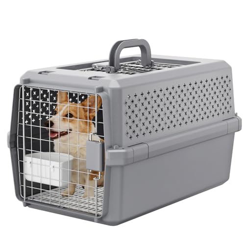 RIZZARI Gray Pet Carrier for Medium Dogs & Cats, Hard-Sided Travel Kennel | Spacious Interior,Reinforced Side Latches,Stable Carrying Handle,Wide Front Entry,Supports Daily Travel,Light weight to Carry - color: Gray, size: 24.0"L x 15.0"W x 14.2"H