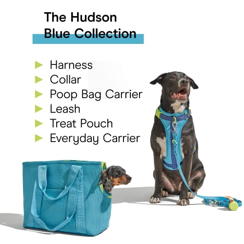 Wild One Dog Collar, Easy-Clean, All Weather Flex-Poly Strap with Metal, Durable, Dirt and Odor Resistant (Hudson, M) - color: Hudson, size: M